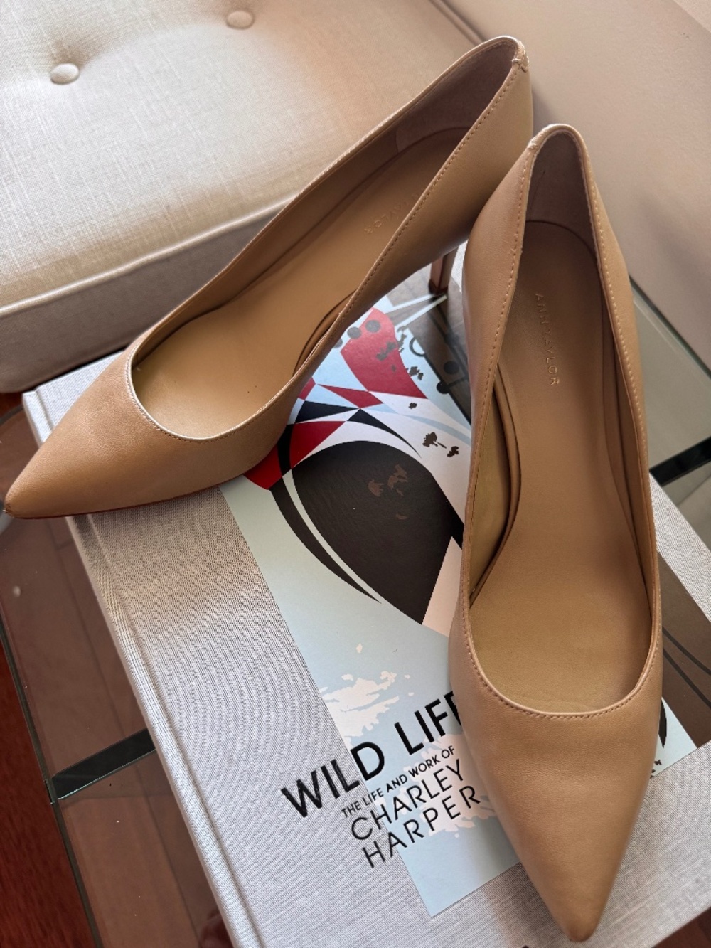 Ann Taylor Nude Leather Pointed Toe Low Heel Pumps | Women’s 8.5